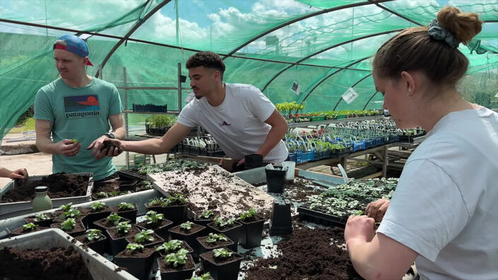 Initiation à l'agriculture urbaine à la ferme de la Prairie du Canal