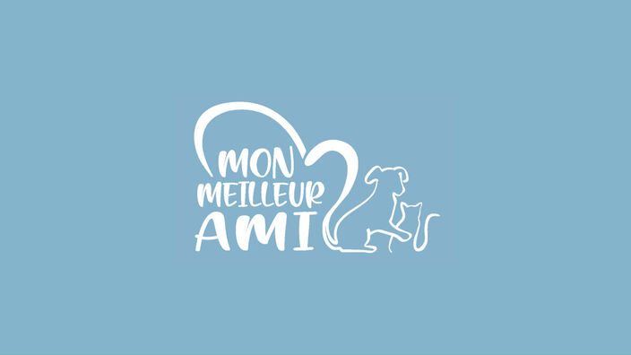 Mon Meilleur Ami : L'adoption