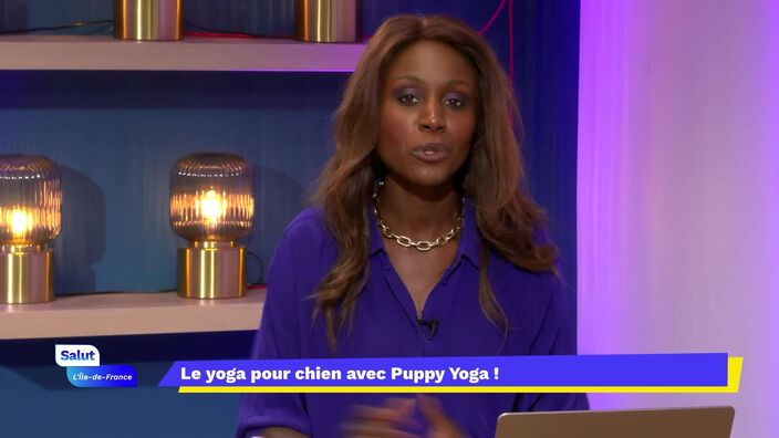 Le yoga avec des chiens ! Ça existe !