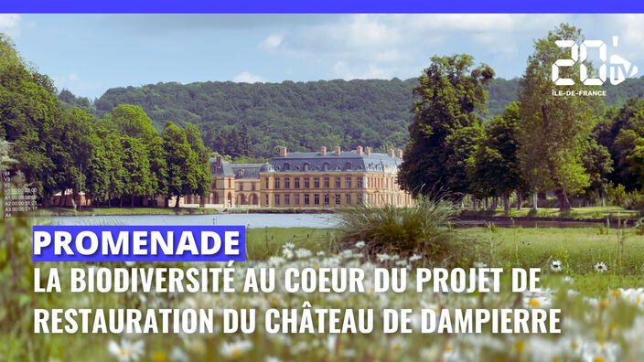 La biodiversité dans les demeures historiques : le pari réussi du château de Dampierre-en-Yvelines
