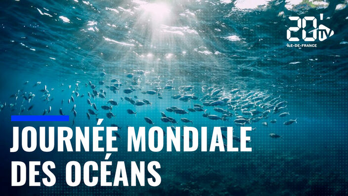 Journée mondiale des océans : passez 20 Minutes sous la mer avec nous !