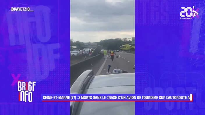 Seine-et-Marne (77) : 3 morts dans le crash d’un avion de tourisme sur l’autoroute A4