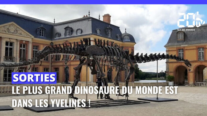Yvelines : rencontre avec le plus grand dinosaure du monde 