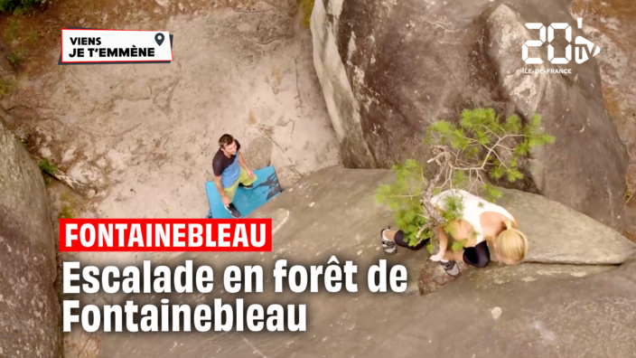 Grimpe au coeur de la forêt de Fontainebleau (77) 