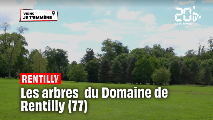 Les Arbres du Domaine de Rentilly (77)