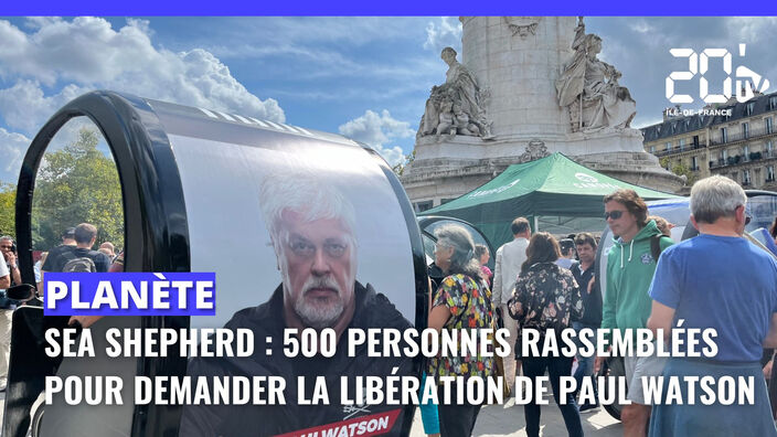 Sea Shepherd : 500 personnes rassemblées pour demander la libération de Paul Watson