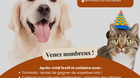 Fête des Amoureux des Animaux : Quiz, Contes et Plus ! 