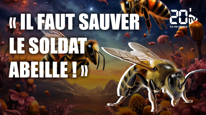 Il faut sauver le soldat abeille