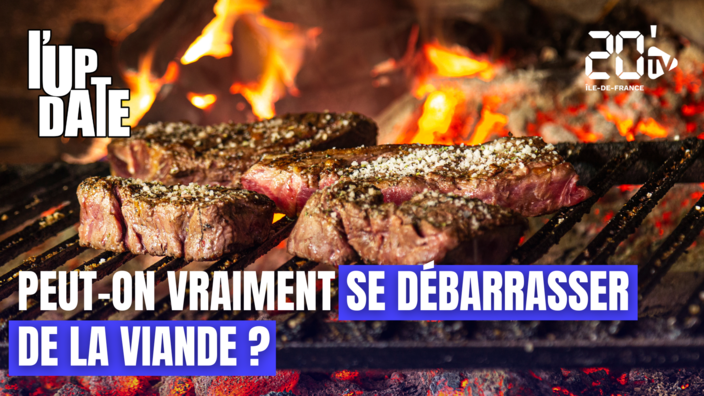 Peut-on vraiment se débarrasser de la viande ?