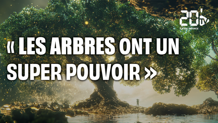 Les arbres ont un super-pouvoir, et on ne s'en sert pas