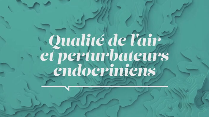 La Santé D'abord : Qualité de l'air et perturbateurs endocriniens