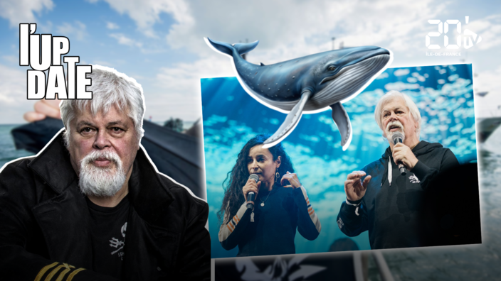 Paul Watson : "On marche sur la tête, la France n'a pas grand risque à prendre à s'avancer" selon l'un de ses avocats