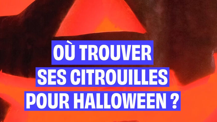 Où trouver ses citrouilles pour Halloween ?