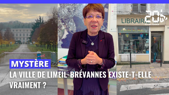 Limeil-Brévannes : une ville pleine d'avenir qui ne demande qu'à exister vraiment